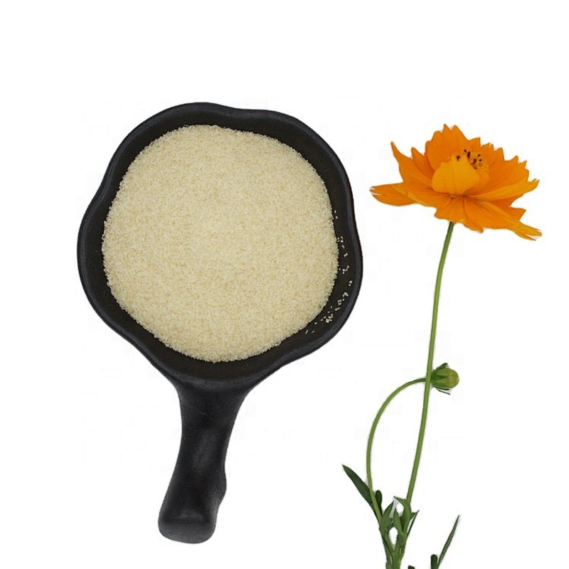 Bovine Beef Food Grade Edible Gelatin Bulk Price Halal Powder Beef Gelatin Halal 160 Bloom